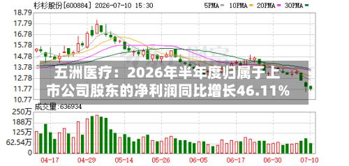 五洲医疗:2026年半年度归属于上市公司股东的净利润同比增长46.11%-第2张图片