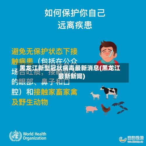黑龙江新型冠状病毒最新消息(黑龙江最新新闻)-第3张图片