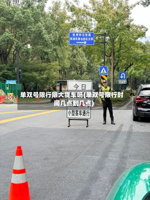 单双号限行限大货车吗(单双号限行时间几点到几点)-第2张图片