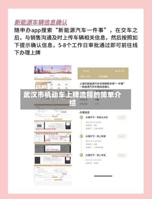 武汉市机动车上牌流程的简单介绍-第2张图片