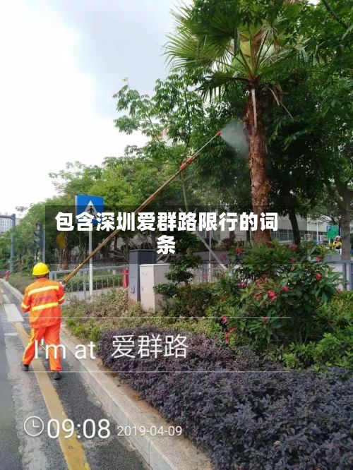 包含深圳爱群路限行的词条-第3张图片