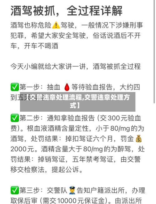 【交警违章处理流程,交警违章处理方式】-第2张图片