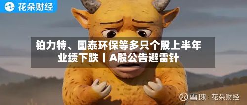 铂力特、国泰环保等多只个股上半年业绩下跌丨A股公告避雷针