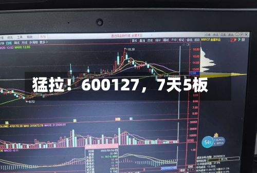 猛拉！600127，7天5板-第2张图片