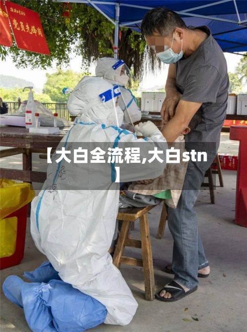 【大白全流程,大白stn】-第2张图片