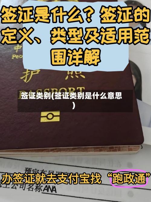 签证类别(签证类别是什么意思)