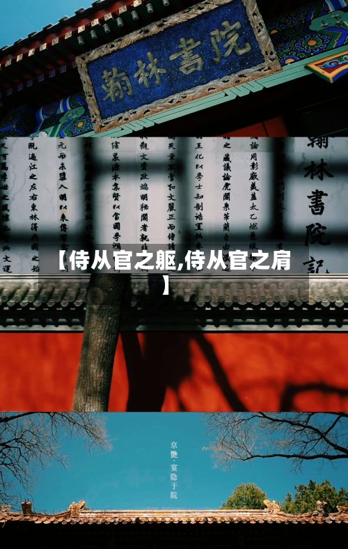 【侍从官之躯,侍从官之肩】-第2张图片