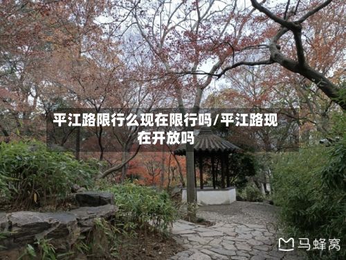 平江路限行么现在限行吗/平江路现在开放吗-第2张图片