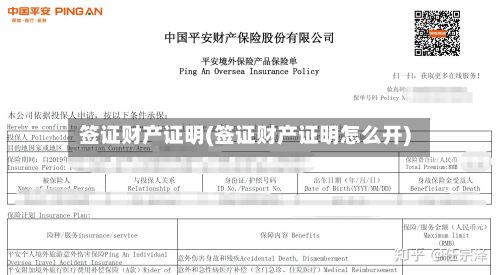 签证财产证明(签证财产证明怎么开)-第3张图片
