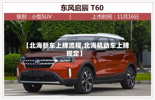 【北海新车上牌流程,北海机动车上牌规定】-第3张图片