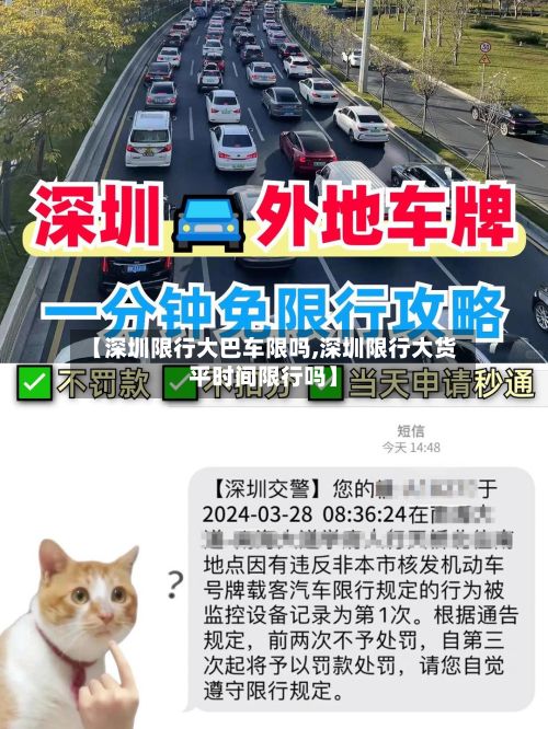 【深圳限行大巴车限吗,深圳限行大货平时间限行吗】-第2张图片