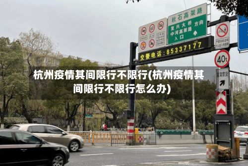 杭州疫情其间限行不限行(杭州疫情其间限行不限行怎么办)-第2张图片