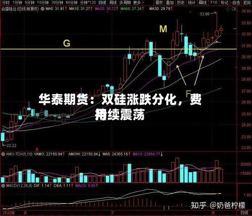 华泰期货：双硅涨跌分化，费用持续震荡-第1张图片