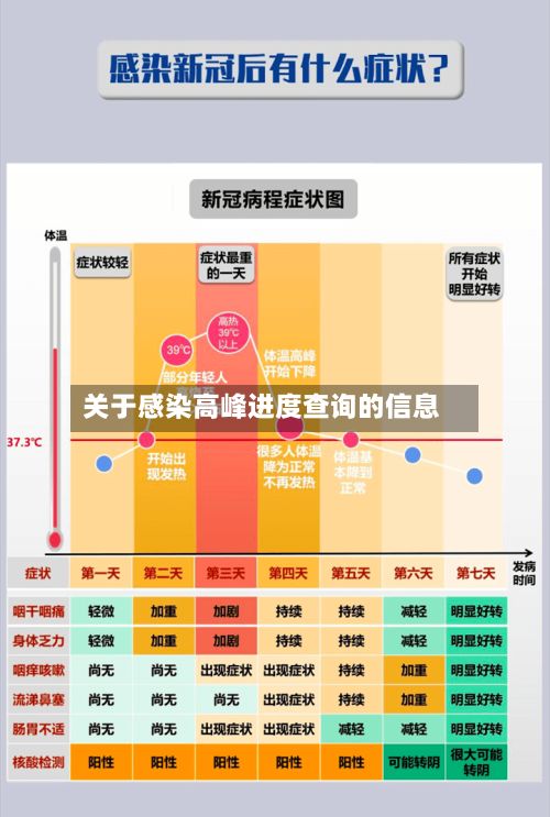 关于感染高峰进度查询的信息-第2张图片