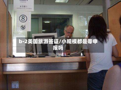 b-2美国旅游签证/小规模都是零申报吗