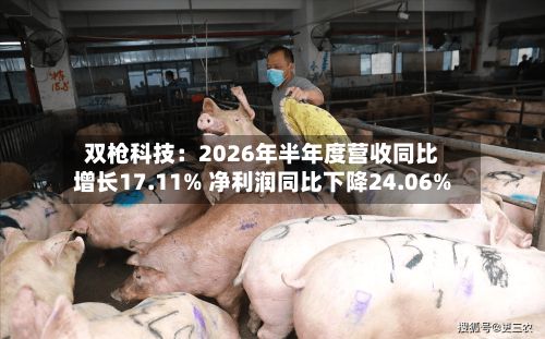双枪科技：2026年半年度营收同比增长17.11% 净利润同比下降24.06%
