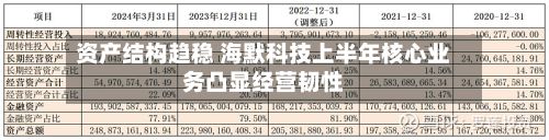 资产结构趋稳 海默科技上半年核心业务凸显经营韧性-第2张图片
