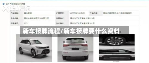 新车报牌流程/新车报牌要什么资料