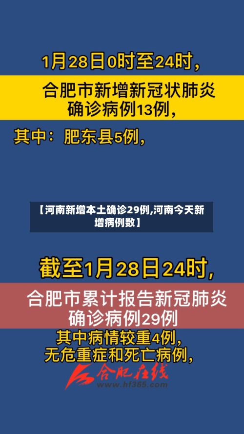 【河南新增本土确诊29例,河南今天新增病例数】