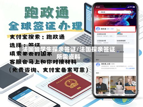 法国留学生探亲签证/法国探亲签证所需资料