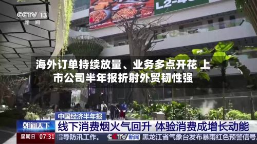 海外订单持续放量	、业务多点开花 上市公司半年报折射外贸韧性强-第3张图片