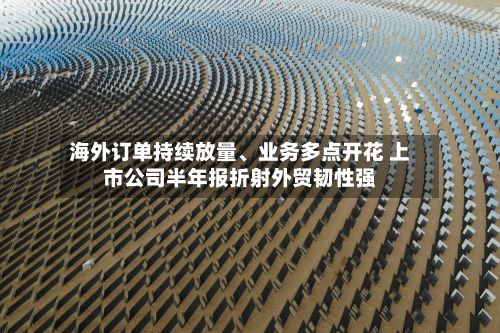 海外订单持续放量	、业务多点开花 上市公司半年报折射外贸韧性强-第2张图片
