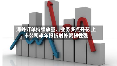 海外订单持续放量、业务多点开花 上市公司半年报折射外贸韧性强