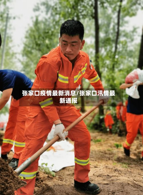 张家口疫情最新消息/张家口汛情最新通报-第2张图片