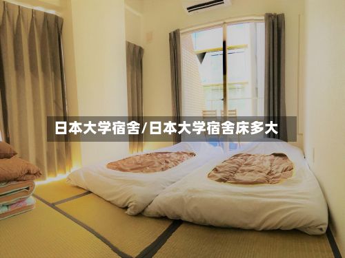 日本大学宿舍/日本大学宿舍床多大-第2张图片