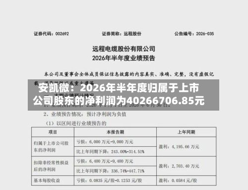安凯微：2026年半年度归属于上市公司股东的净利润为40266706.85元