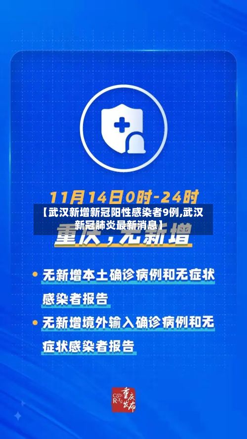 【武汉新增新冠阳性感染者9例,武汉新冠肺炎最新消息】-第3张图片