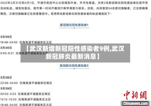 【武汉新增新冠阳性感染者9例,武汉新冠肺炎最新消息】-第2张图片