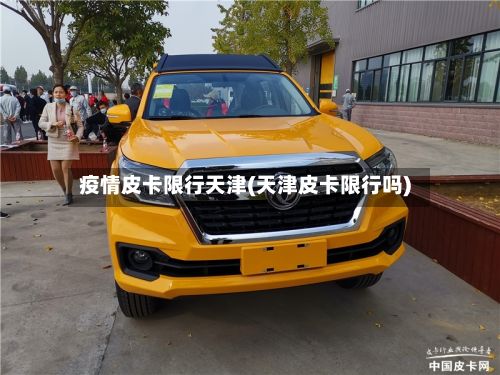 疫情皮卡限行天津(天津皮卡限行吗)-第2张图片