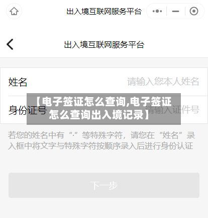 【电子签证怎么查询,电子签证怎么查询出入境记录】-第2张图片
