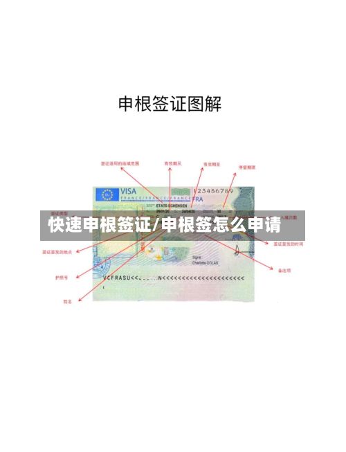 快速申根签证/申根签怎么申请-第2张图片