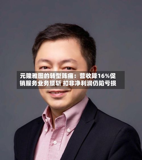 元隆雅图的转型阵痛:营收降16%促销服务业务腰斩 扣非净利润仍陷亏损-第2张图片