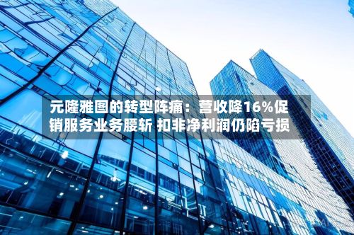 元隆雅图的转型阵痛:营收降16%促销服务业务腰斩 扣非净利润仍陷亏损-第3张图片
