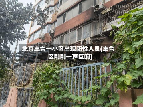 北京丰台一小区出现阳性人员(丰台区刚刚一声巨响)