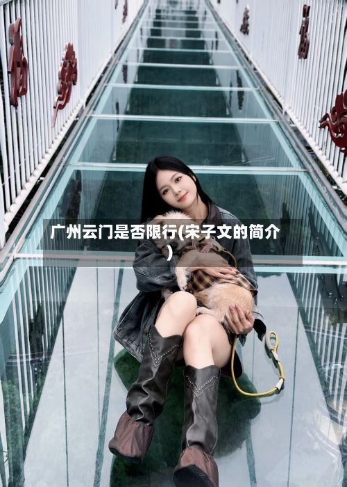 广州云门是否限行(宋子文的简介)