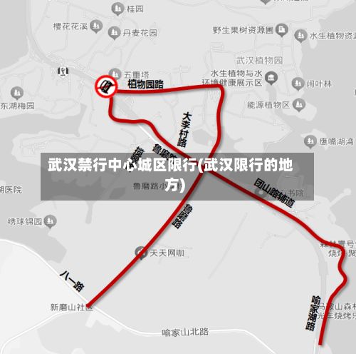 武汉禁行中心城区限行(武汉限行的地方)-第2张图片